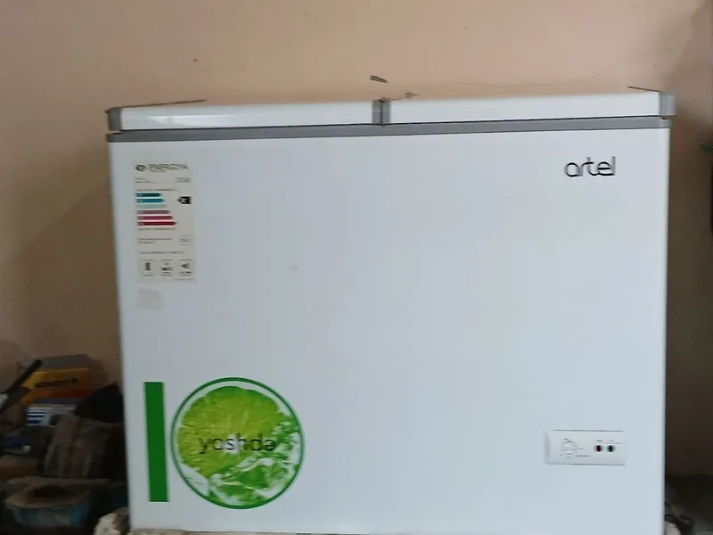 Artek malazinik sotiladi