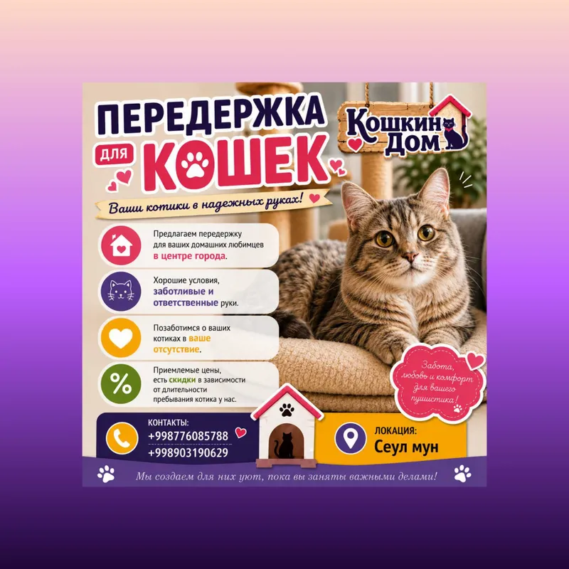 Передержка для кошек 2