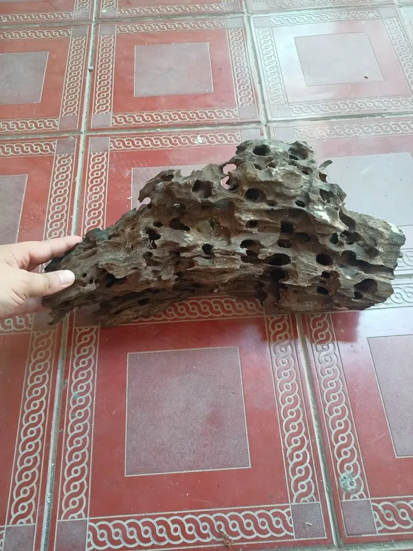 Karyaga hitoydan kegan