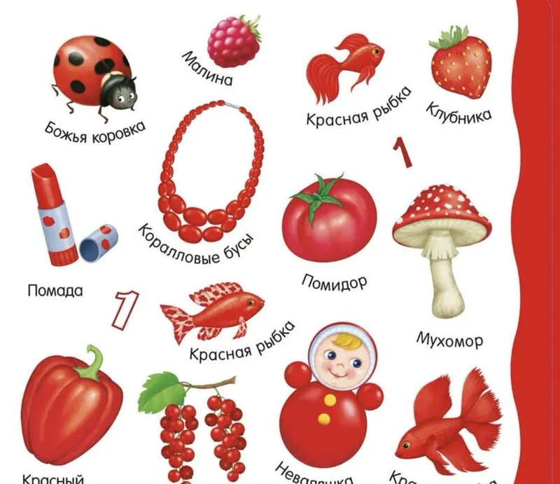 Ranglar, so‘zlar, raqamlarni o‘rganamiz 3