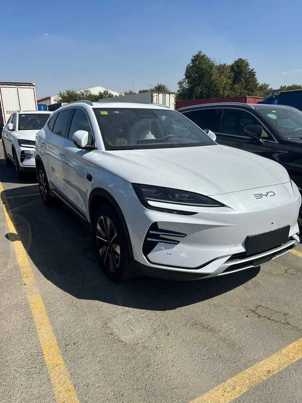 byd champion 605
