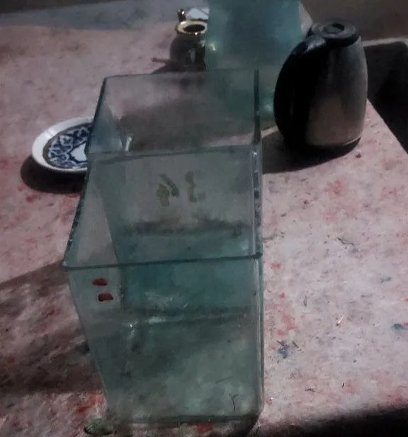 Шиша аквариум. Shisha akvarium — фото 2