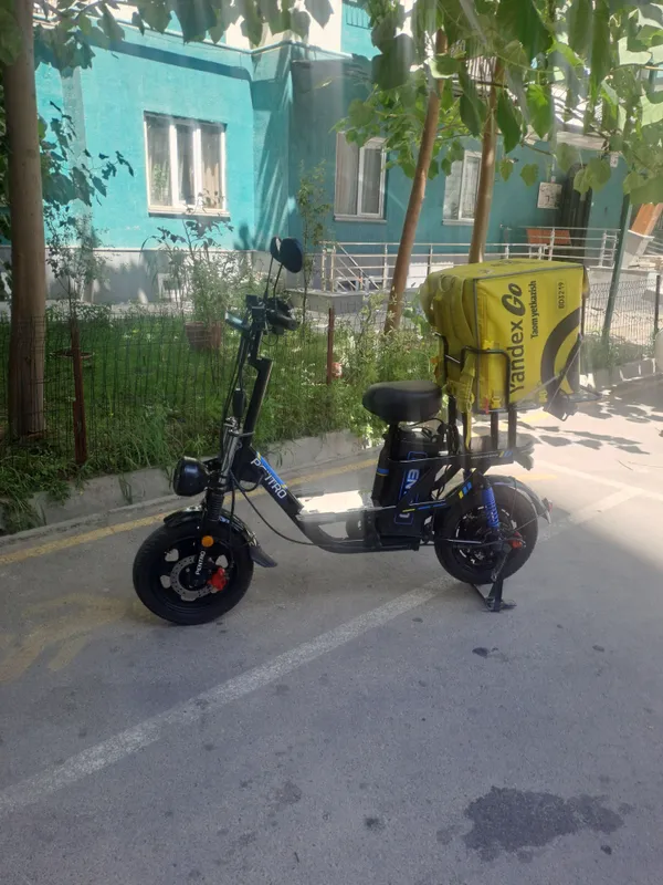 Pentro Monster 3