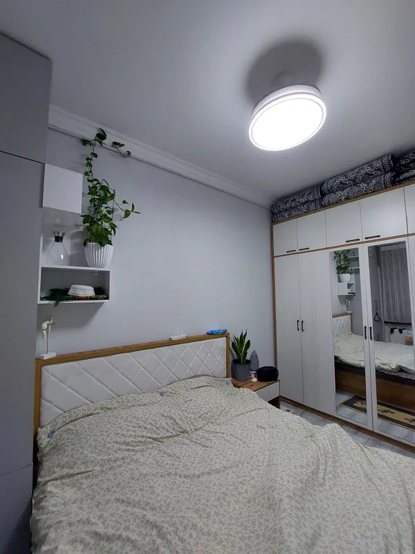 GREEN HOUSE 2