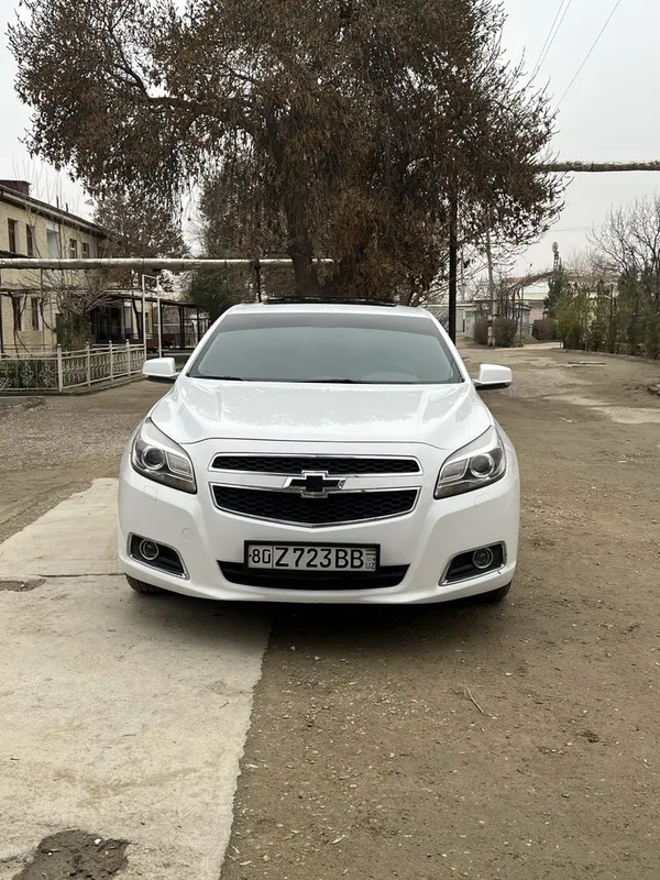 malibu 1. 3 pazitsa full 2