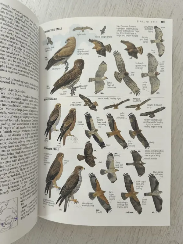 Collins Bird Guide в суперобложке 4 Collins Bird Guide в суперобложке 4
