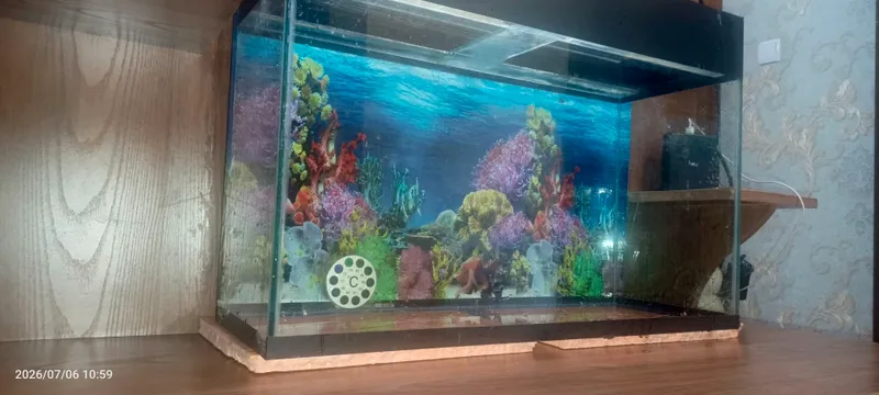 Akvarium 1