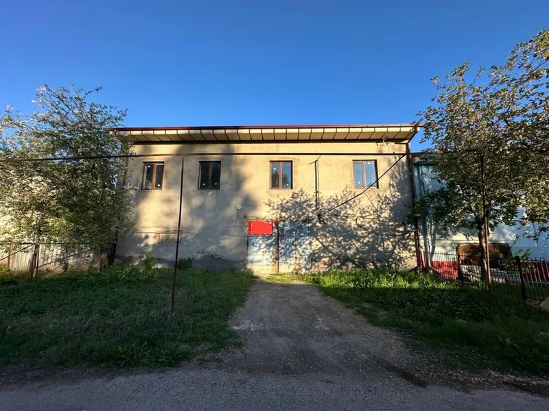 Mirzo Ulugʻbek | Asalarichi Mahallasi Opa Singilar Baliq