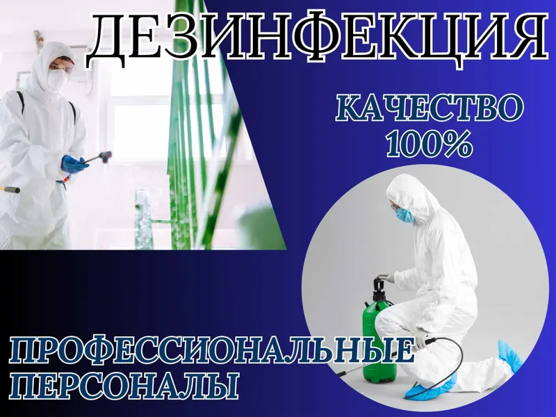 Dezenfeksiya Дезинфекция dezinfeksiya клоп tarakan таракан эффект 100%