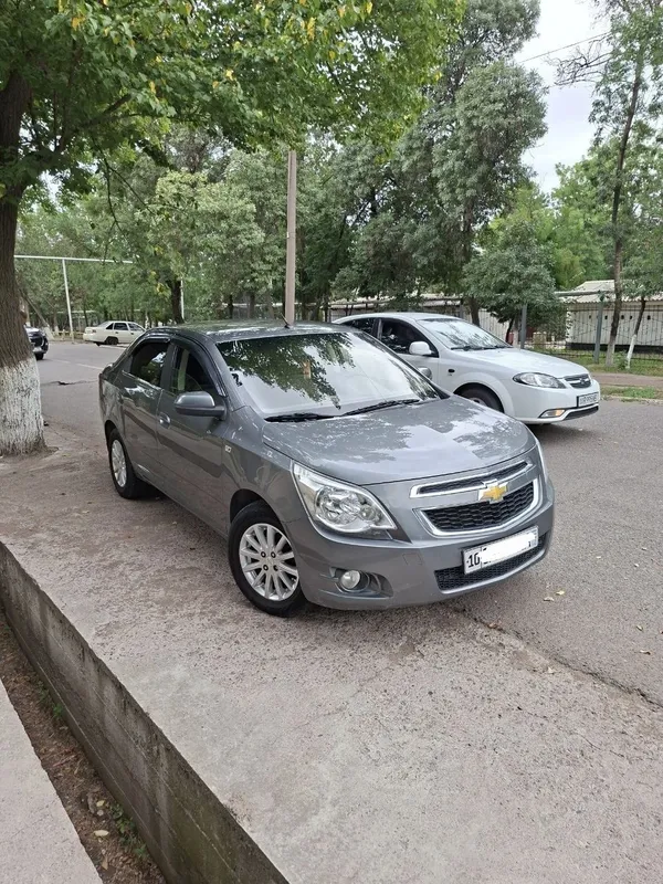 Кобилт 4поз.сотилади — фото 3