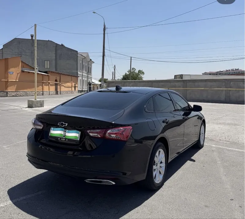 Rent car / рент сар / renta car / рента сар — фото 4
