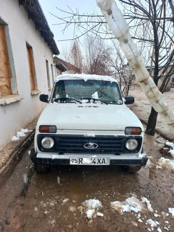 Neva yili 2019 gaz