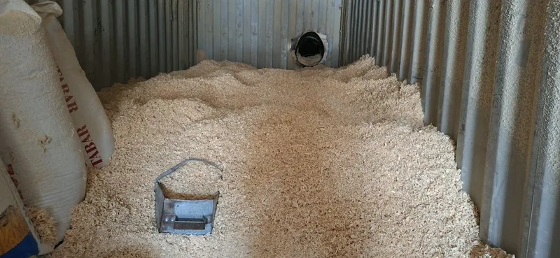 Apilka Randaniki 2