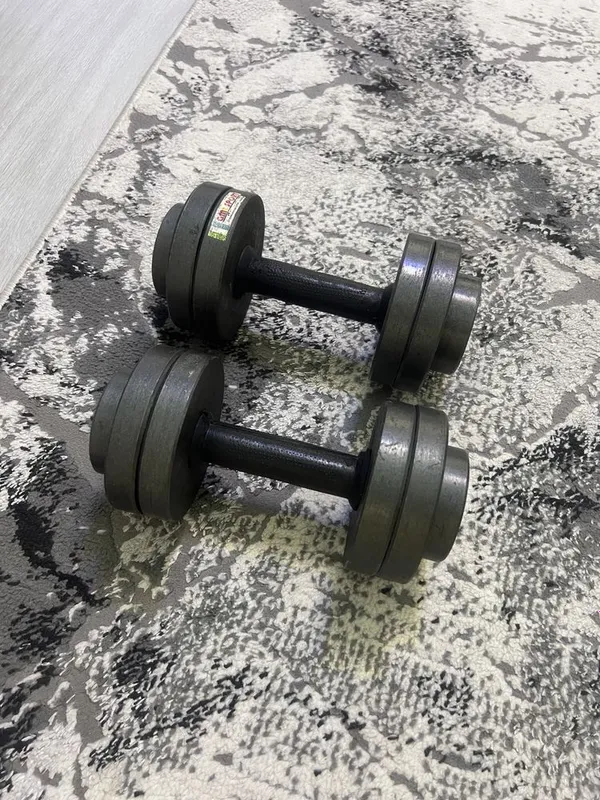 Gantel 16 kg bu