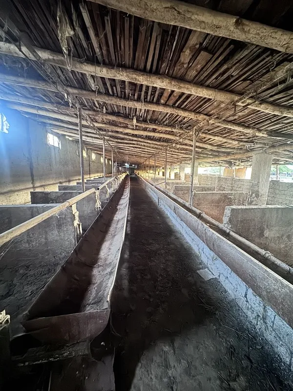 10 700 y.e sotigi narxini kelishamiz kami bor — фото 7