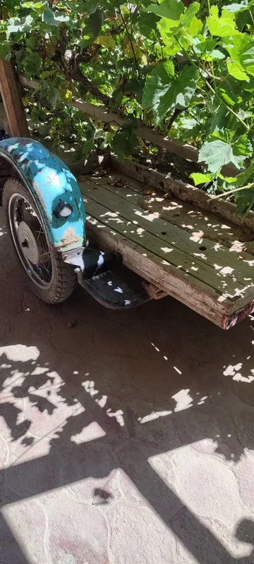 sotiladi 2 sotiladi 2