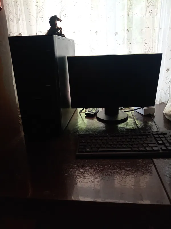 acer
