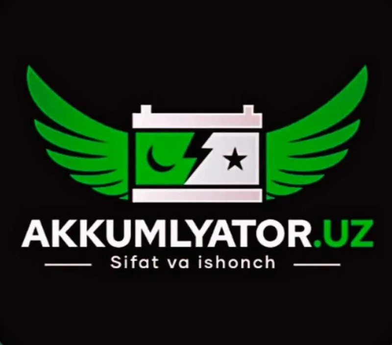 Akumlyator ! Beyonix ! Viska ! Delkor ! Pioneer ! Jaz ! Akb ! 60 ah — фото 4