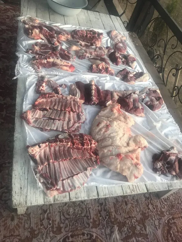 Qoy qochqorlar aqiqa va marosimlar uchun — фото 1