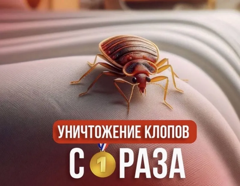 Дезинфекция Dezinfeksiya 1