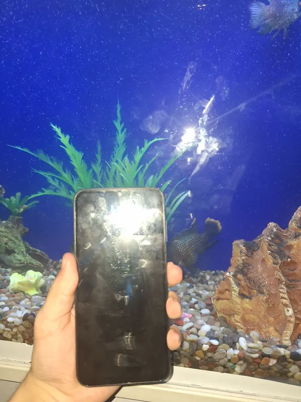 Samsung A25 5G срочно продаётся 4