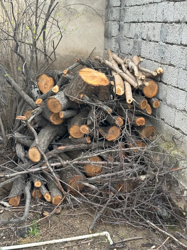 Продам дрова — фото 4