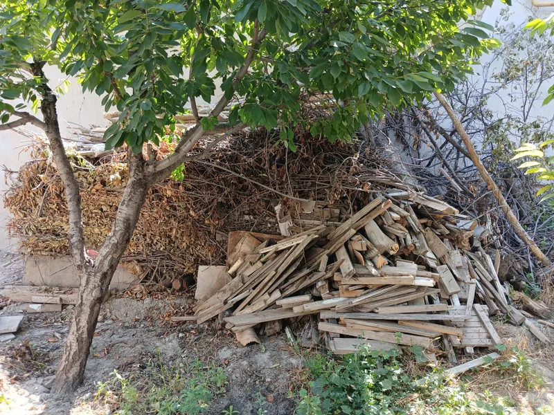Дрова