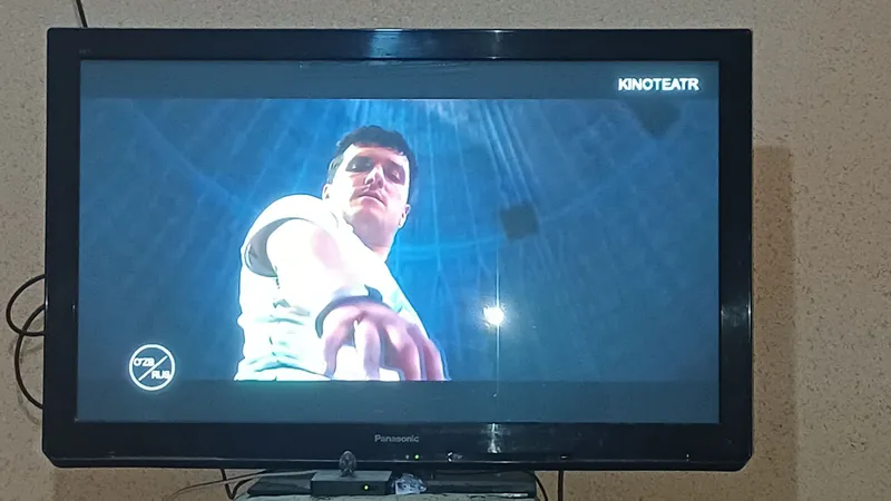 Panasonic viera 43 duem