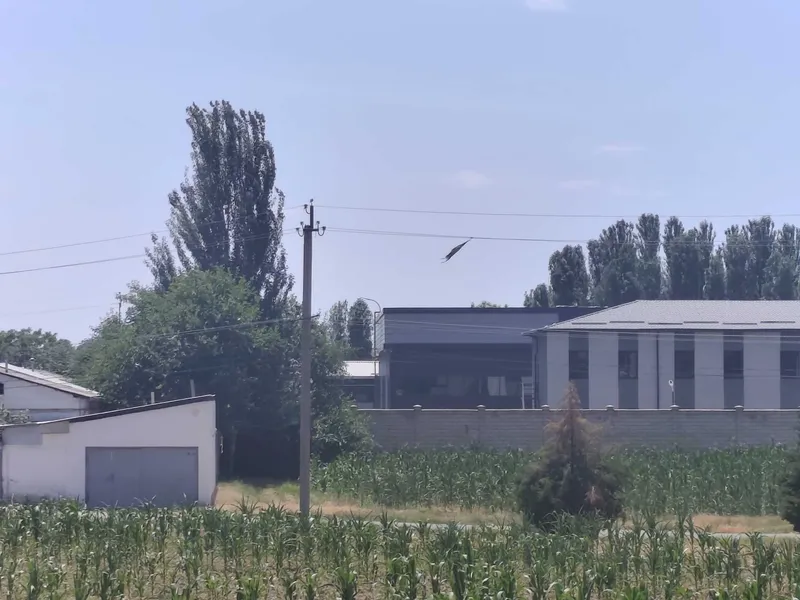 Ер сотилади Эркин пост 3 км . М-39 50 метр 41 сотих Ер сотилади Эркин пост 3 км . М-39 50 метр 41 сотих