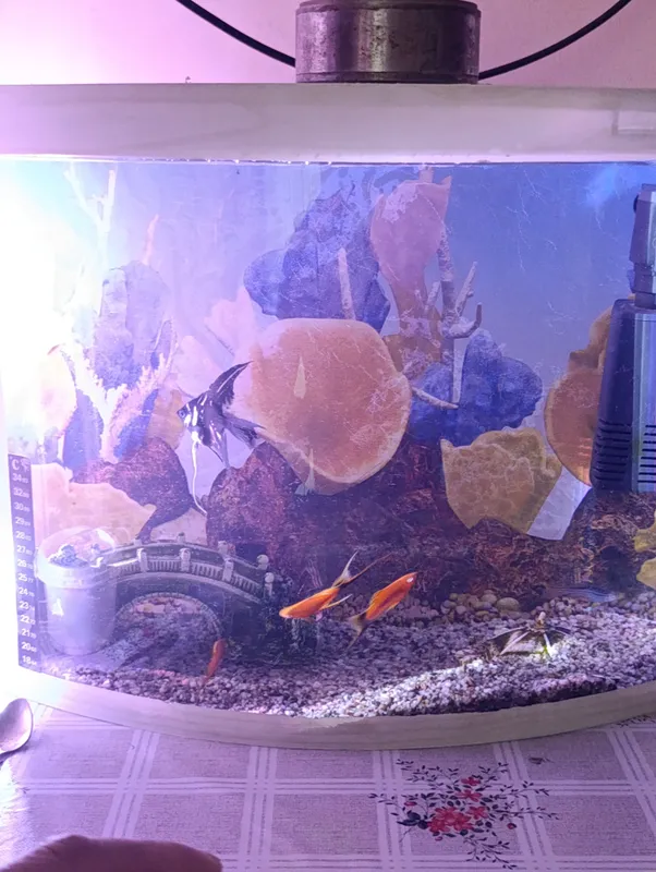 Akvarium 4