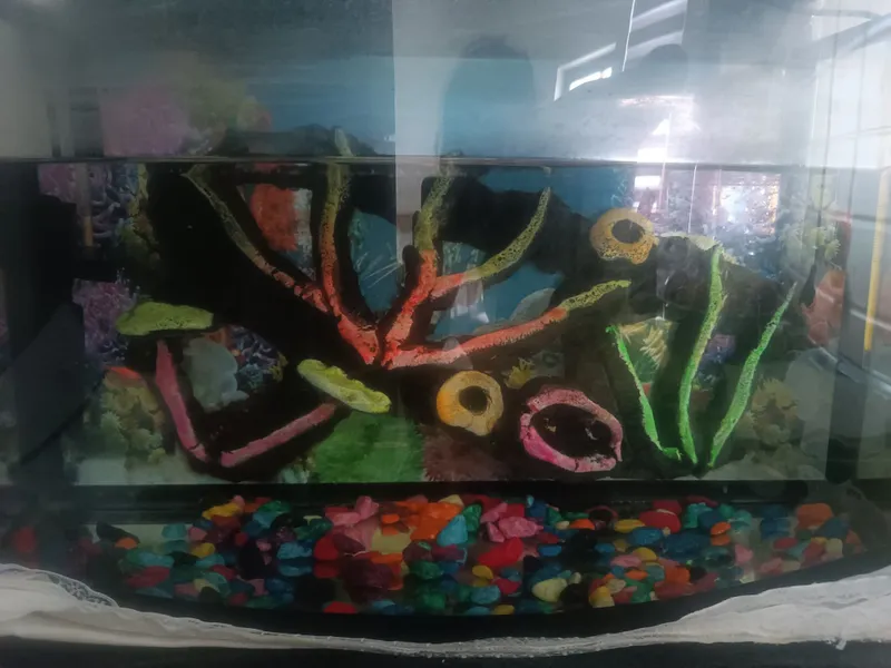 Akvarium filts svetelnik termometr suv isitgich — фото 1