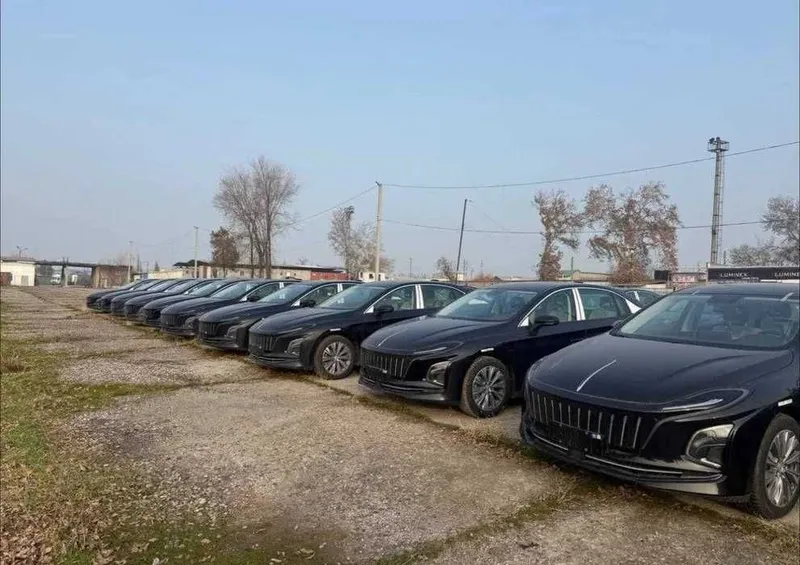 Hongqie E-QM5 450km naxt va nasiya — фото 1