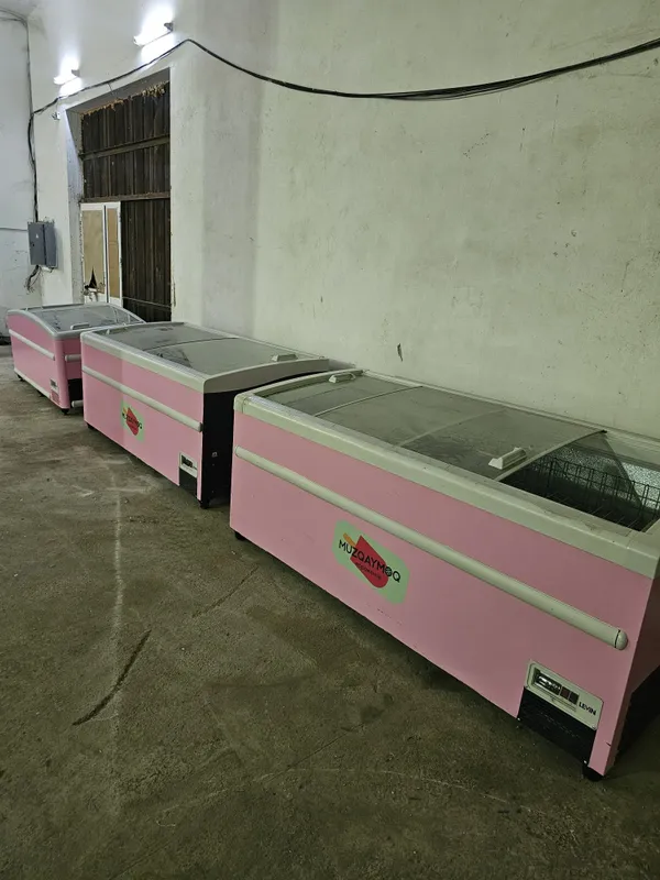 Marazilka xoladelnik 1 tona va 800 ltr 2