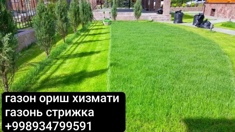 Газон ориш хизмати 2 Газон ориш хизмати 2