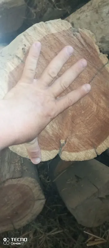 Балка.. кругляк. Бусинка 5