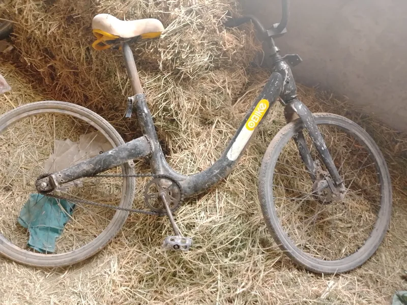 velosiped nomi obike Hindiston velosipedi