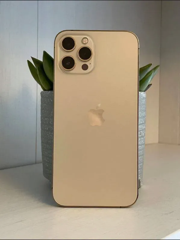Iphone 12 pro max Iphone 12 pro max