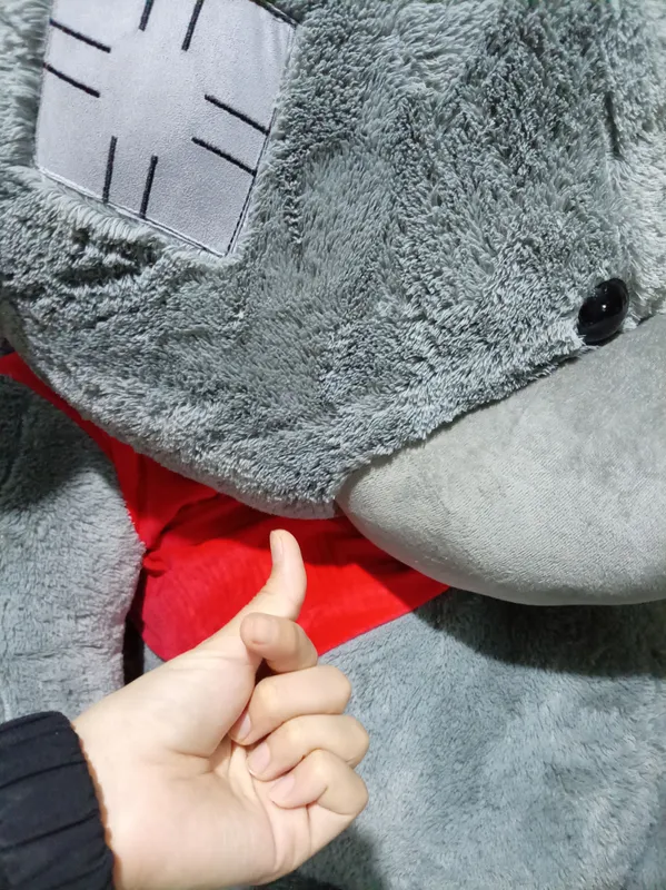 Teddy