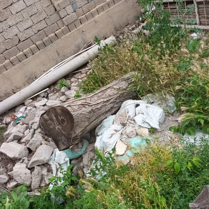 Продаётся ствол Ореха — фото 1