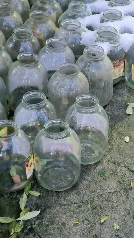 Бонка 3л 600та бор.