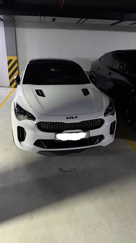 Kia Stinger 3,3 t.t GT2 FULL 5 Kia Stinger 3,3 t.t GT2 FULL 5