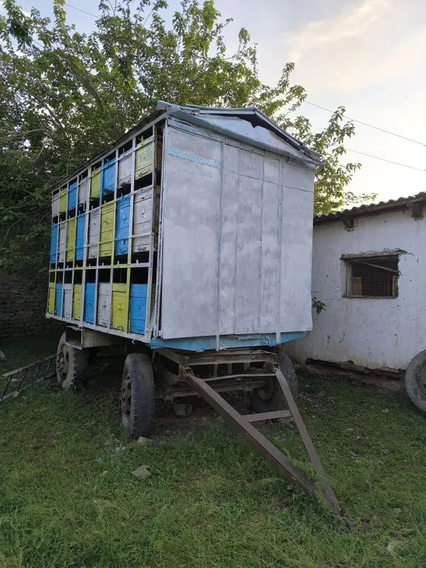 АсалариПрицеп AsalariPricep Пчелоприцеп 1 АсалариПрицеп AsalariPricep Пчелоприцеп 1