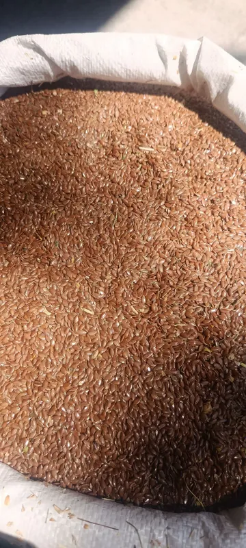 Qozogston Maxsulotlari 50 kg Alo sifatli% 8
