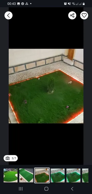 Ispaniya, Daniya gazon urug'lari ekib beriladi. — фото 1