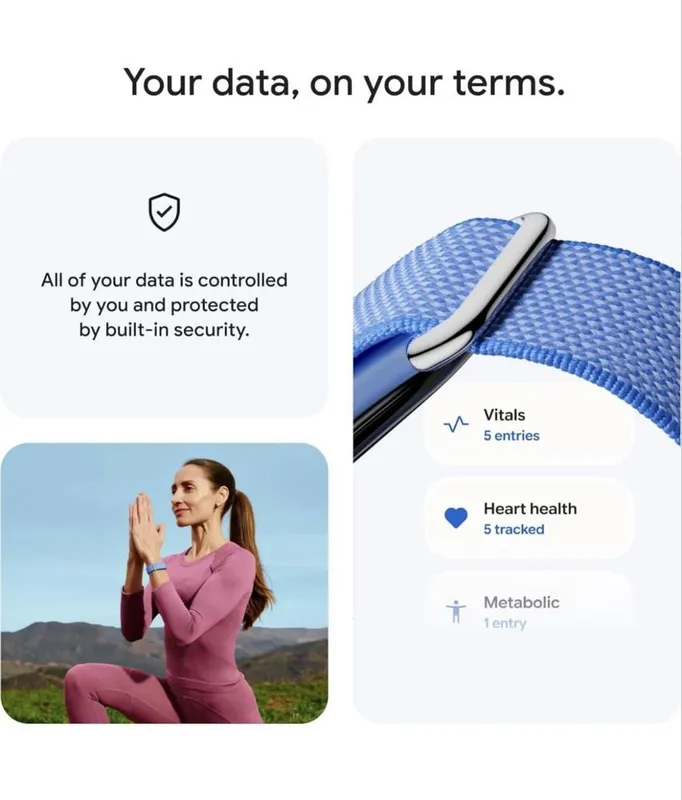 Браслет Fitbit Air 2