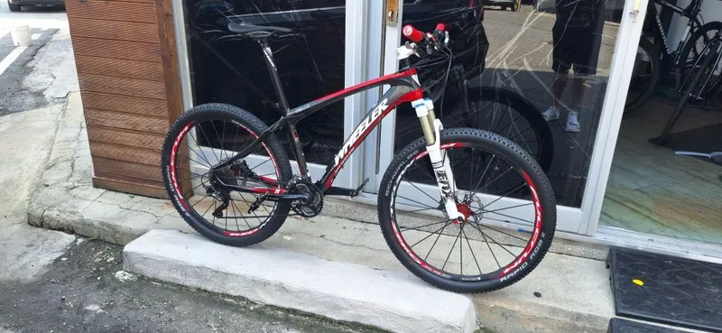 Продам карбоновый MTB Wheeler Eagle 20 — фото 1
