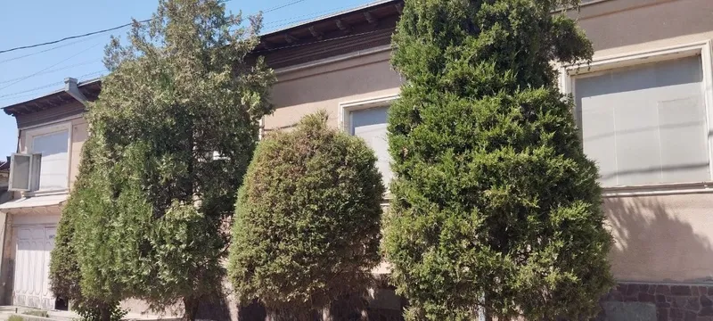 Nazarbek tarnov baliqchida retrom yer uy Sotiladi! — фото 4
