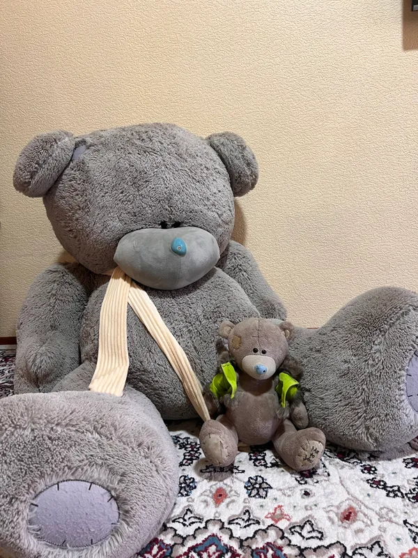 Teddy ayiqcha 1 Teddy ayiqcha 1