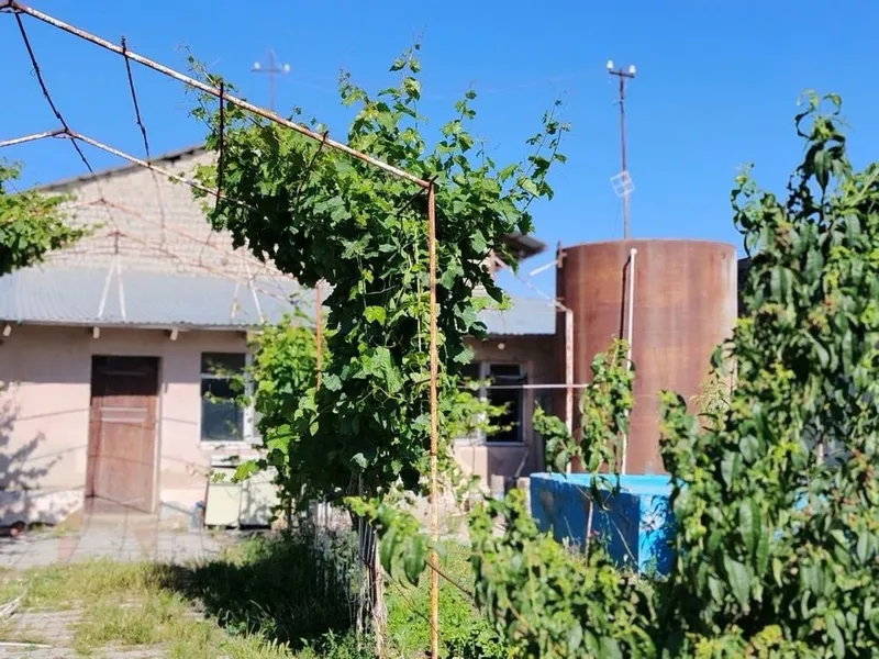 Uchastka Arendaga beriladi