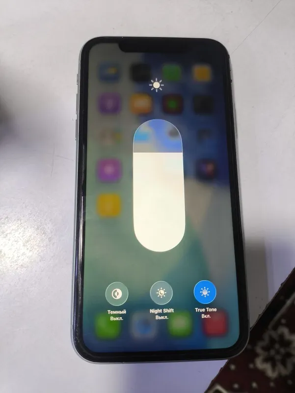 Iphone 11 radnoy 2
